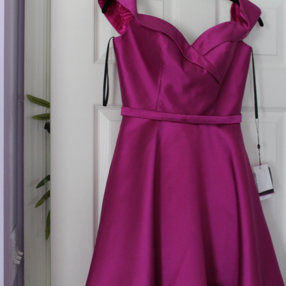 Alyce Paris Short Formal Rasberry Dress NWT's SZ 4